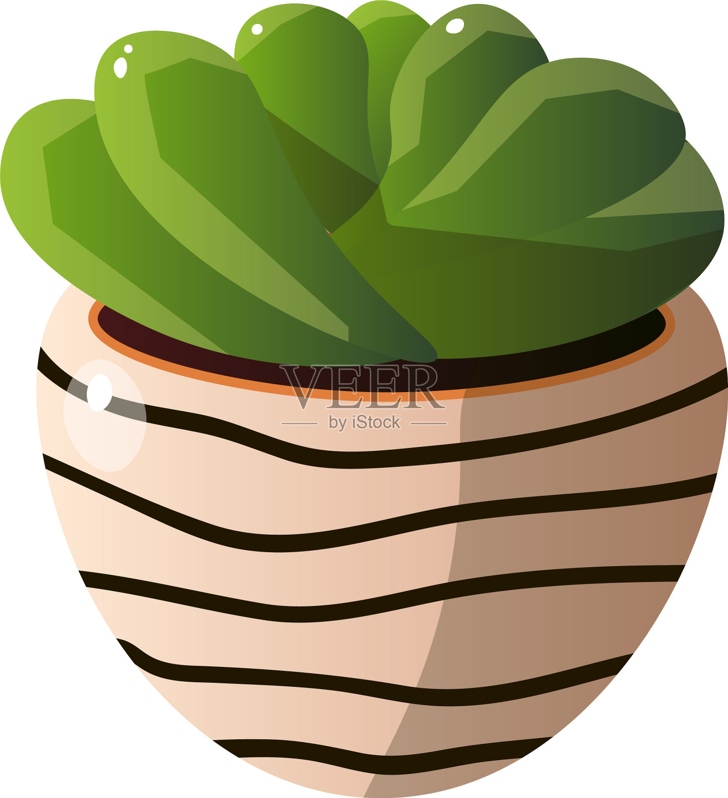 家自制的可爱的植物在美丽多姿设计元素图片