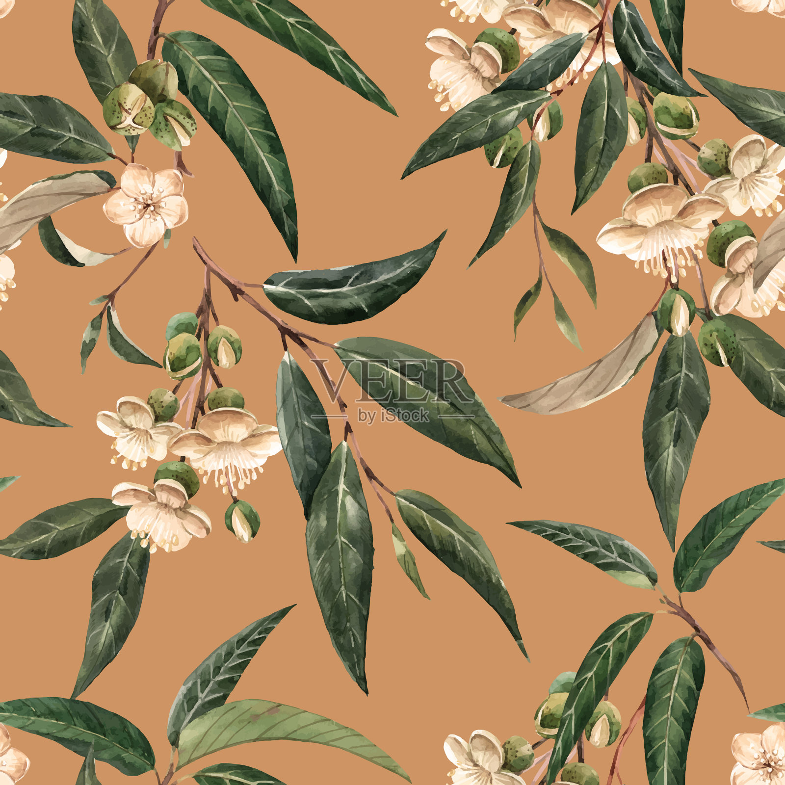 水彩榴莲热带无缝图案插画图片素材