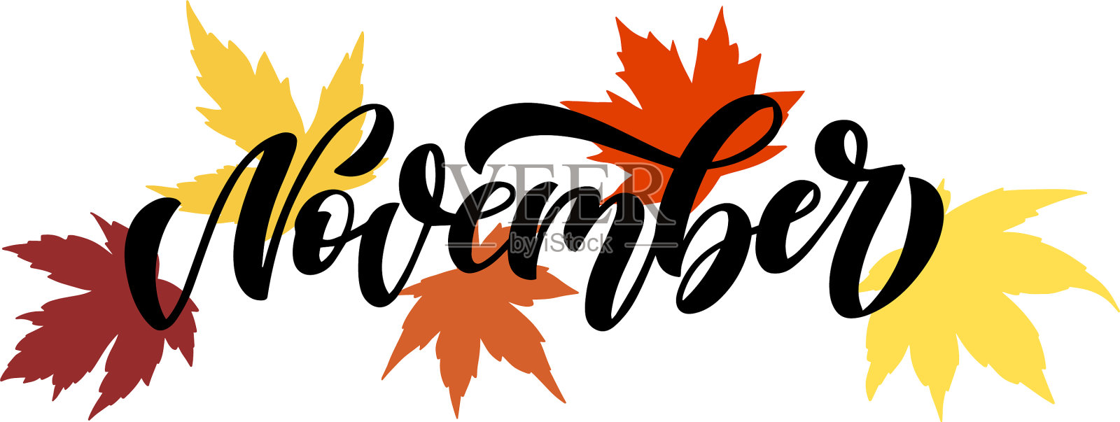 11月圆滑的脚本与稀疏装饰设计元素图片