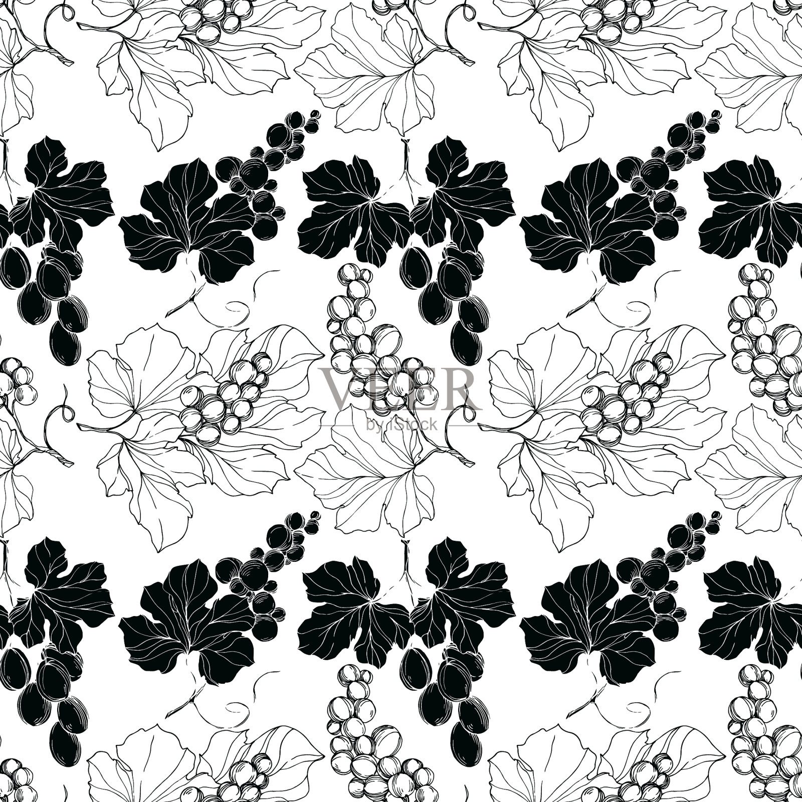 黑莓健康食品插画图片素材