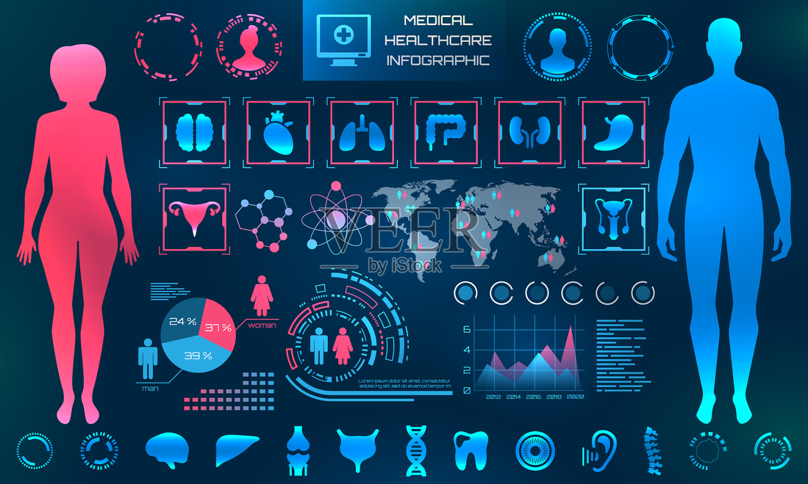 Hud UI男女差异医疗应用插画图片素材