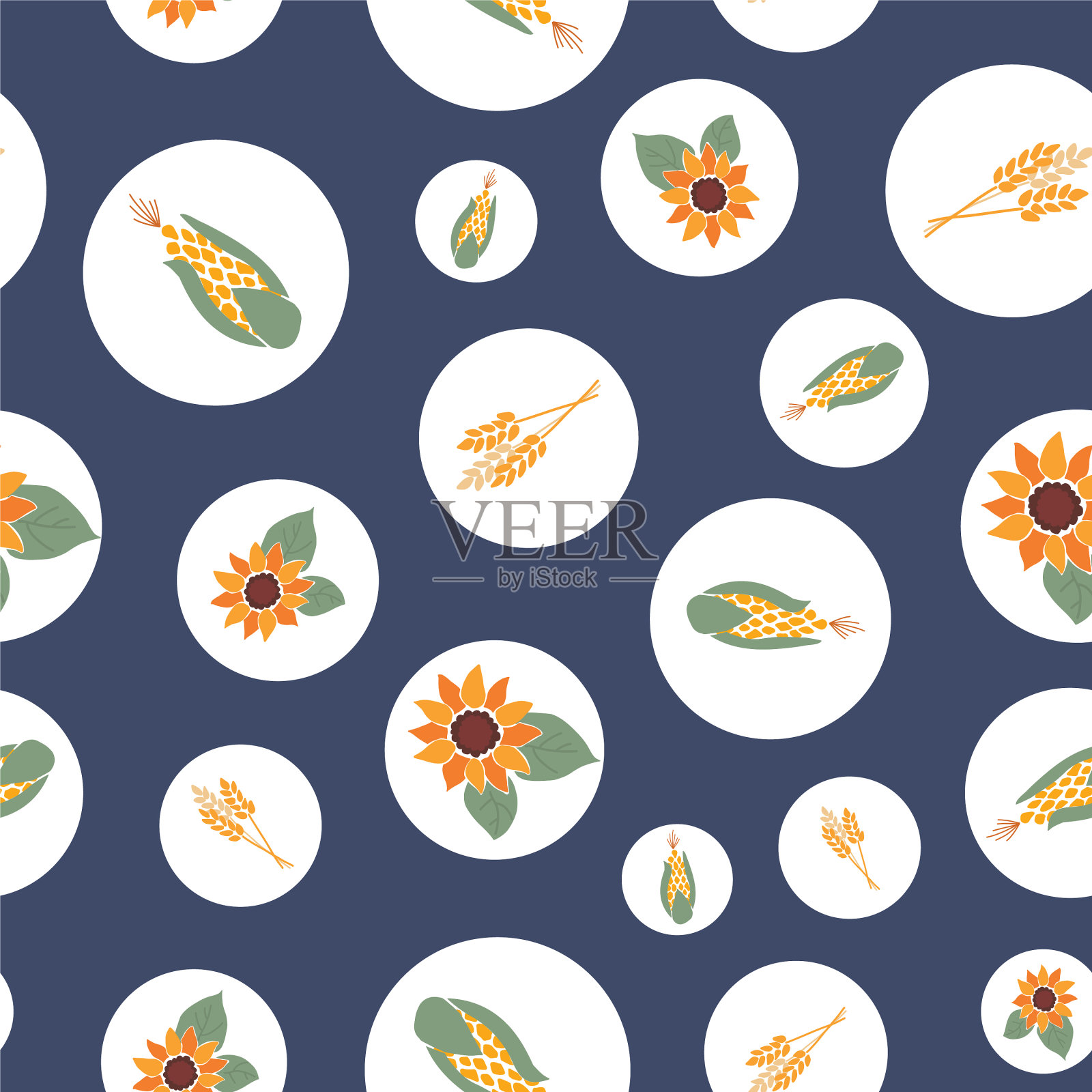 秋天收获作物背景波尔卡插画图片素材