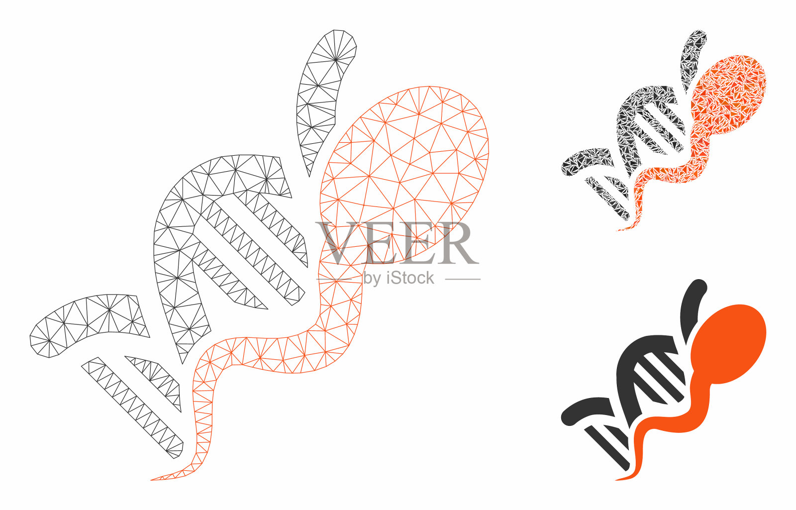 精子基因组网状体模型和插画图片素材