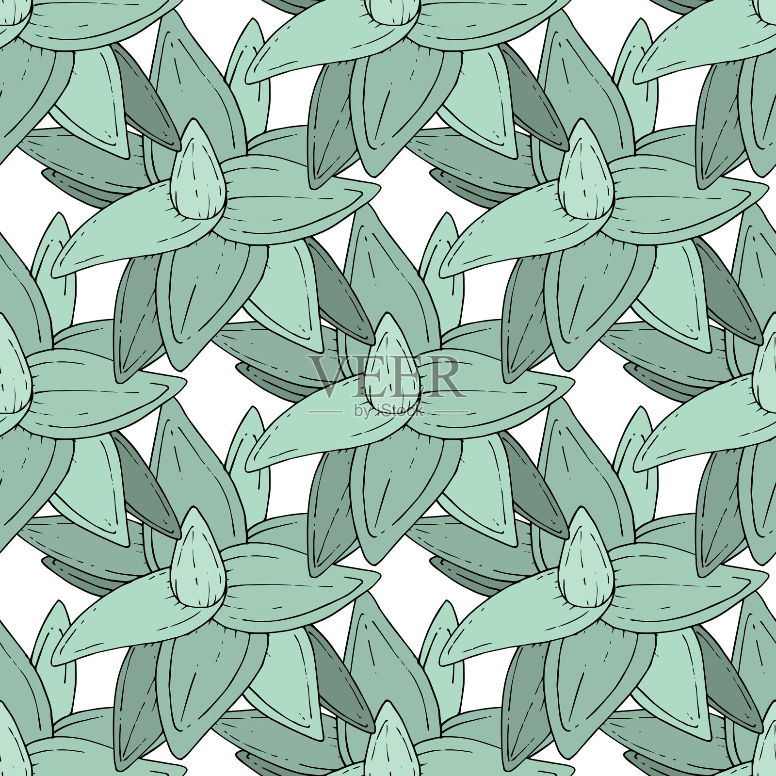 多肉植物，花，植物花插画图片素材