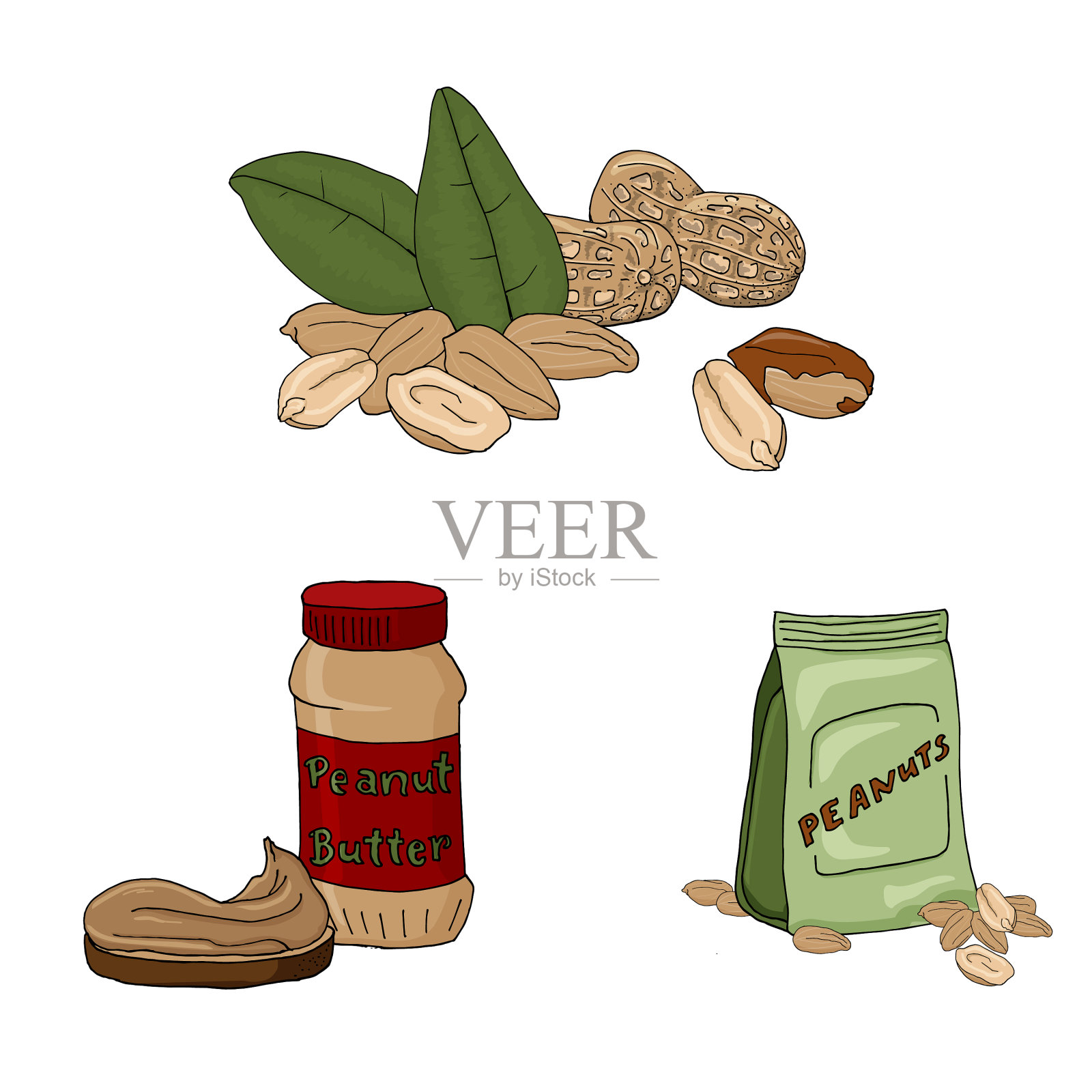 把花生放在白面包上插画图片素材