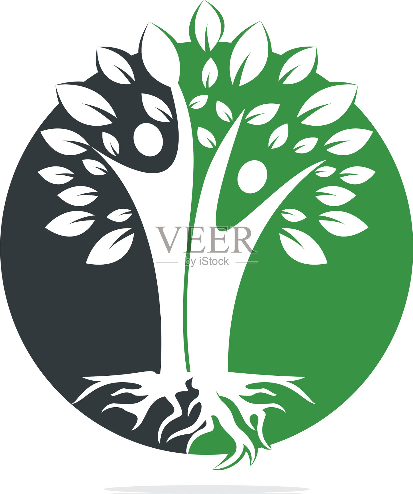 家谱标志设计插画图片素材