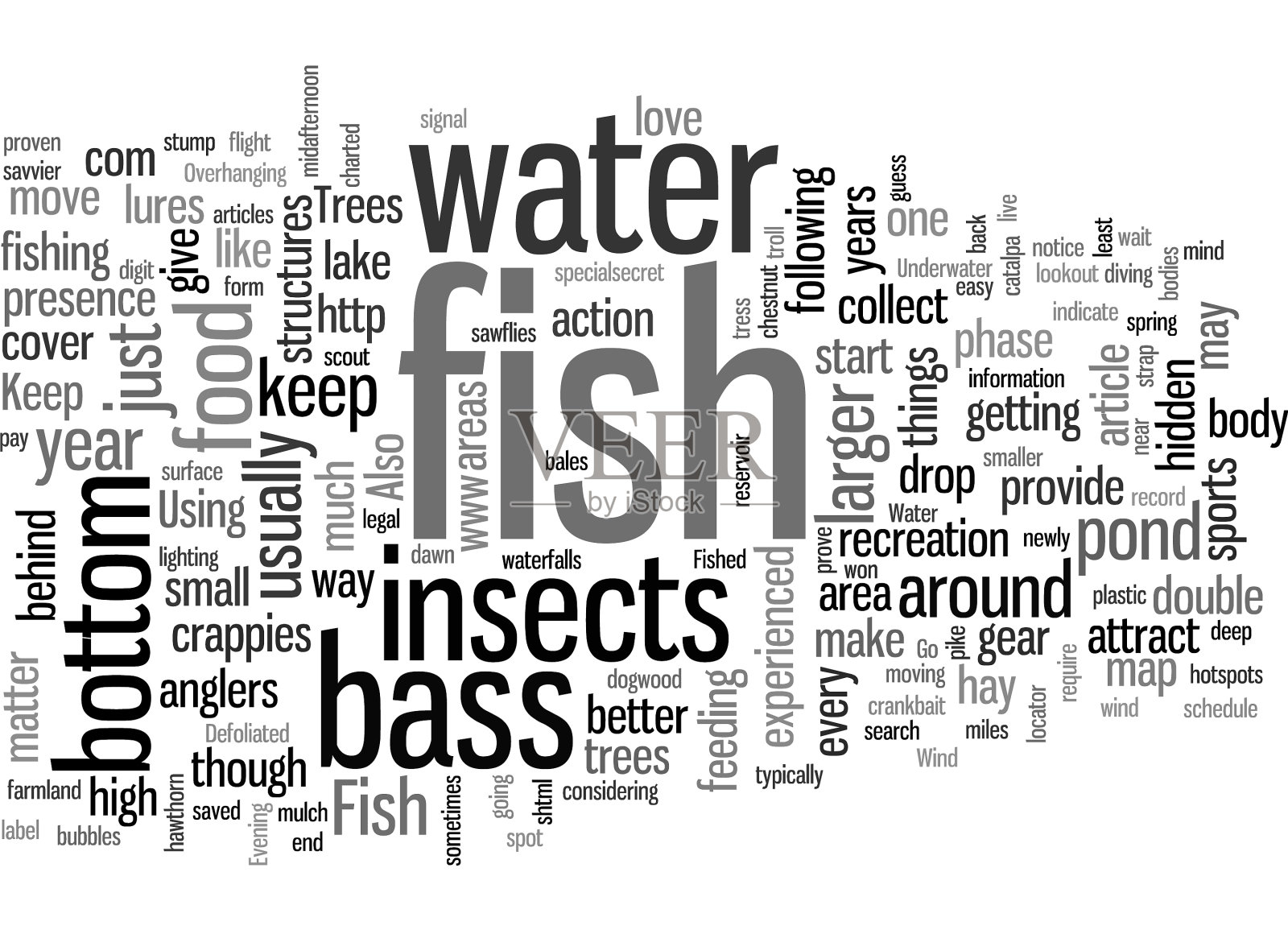 如何找鱼插画图片素材