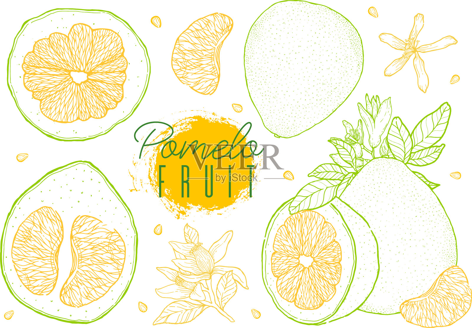 集手画柚子果复古风格黄色设计元素图片