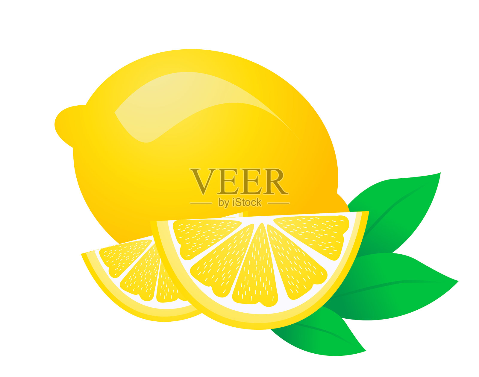 新鲜的柠檬水果插画图片素材