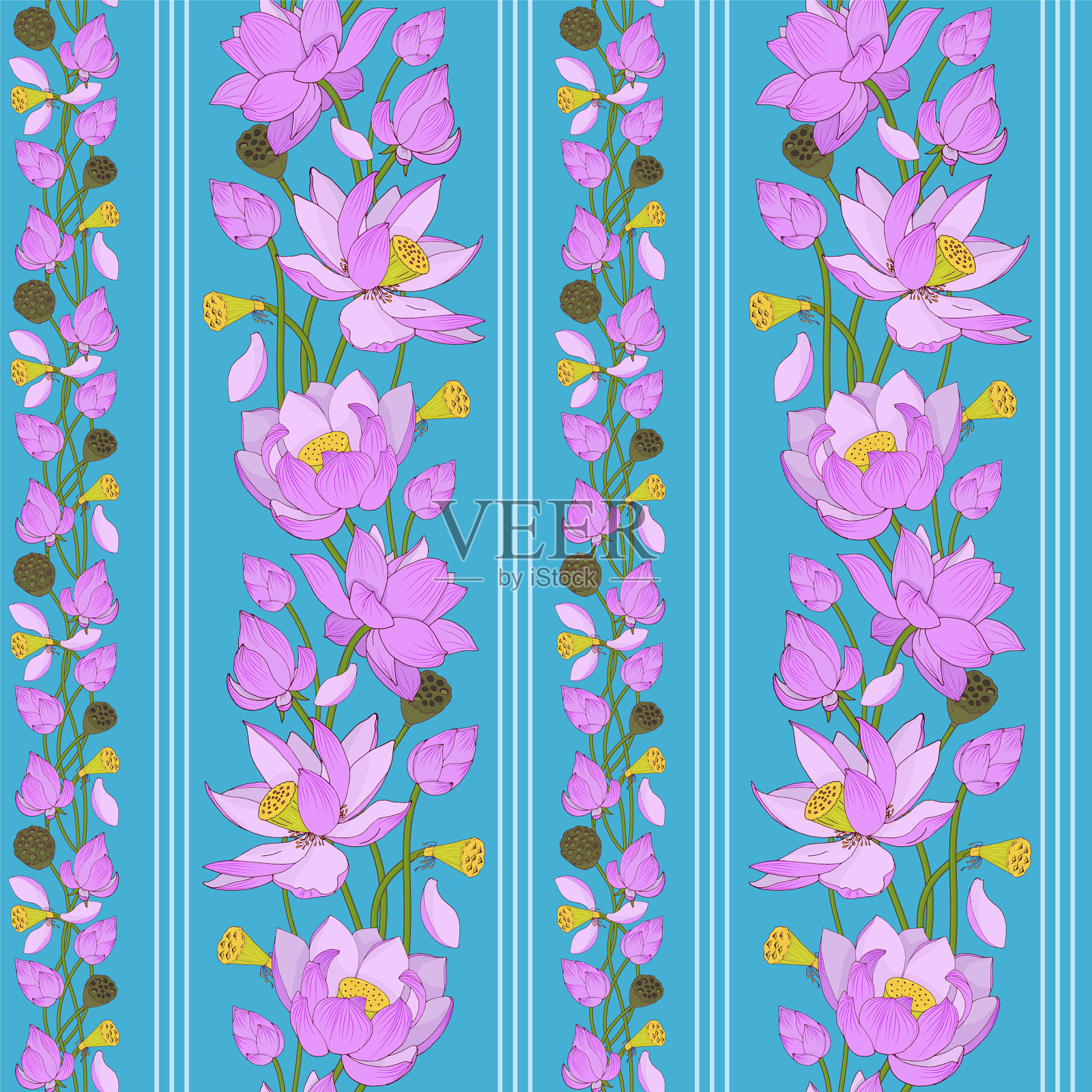 荷花粉红，花蕾无缝插画图片素材