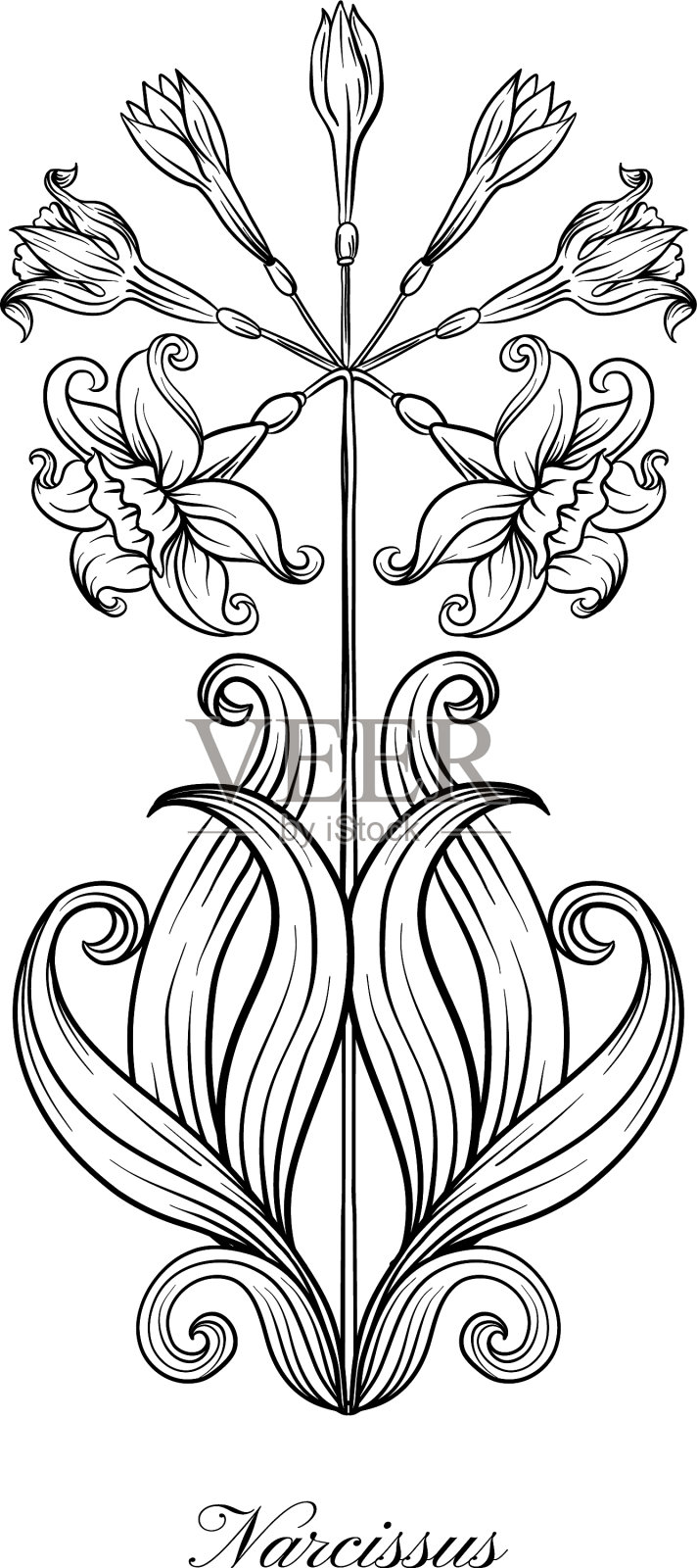 水仙的颜色设计元素图片