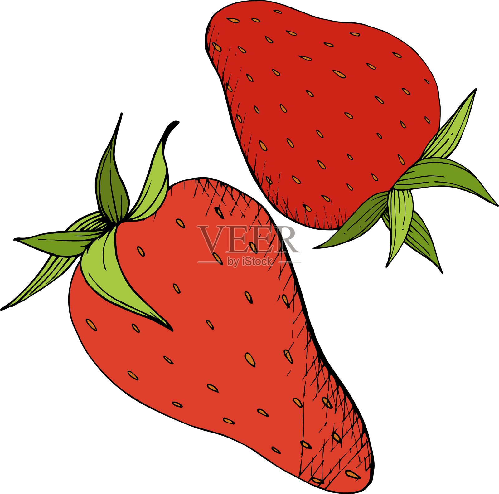 草莓健康食品红色和绿色插画图片素材