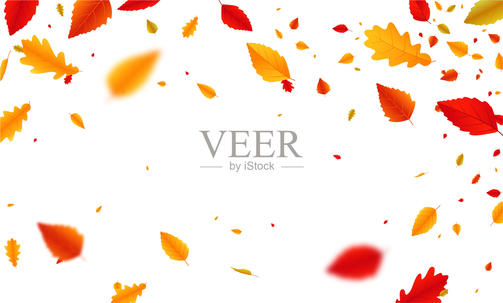 秋叶落旗设计模板素材