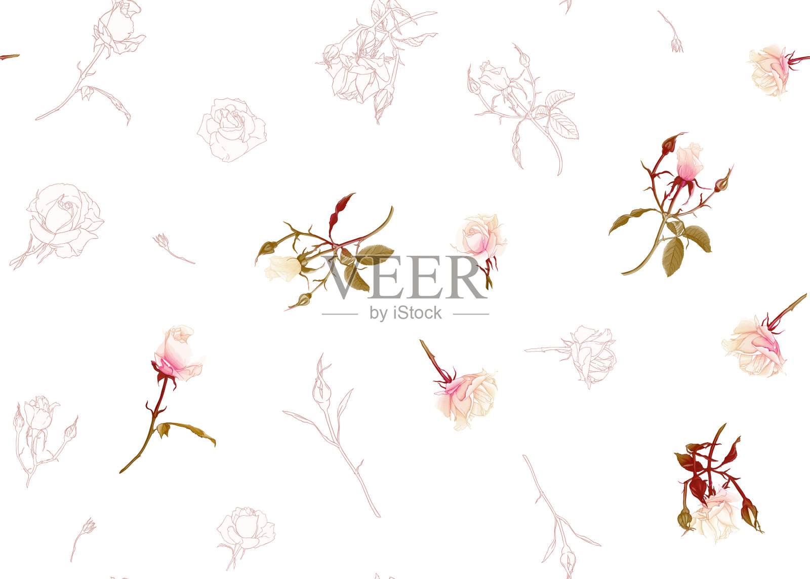 玫瑰与春花无缝图案插画图片素材