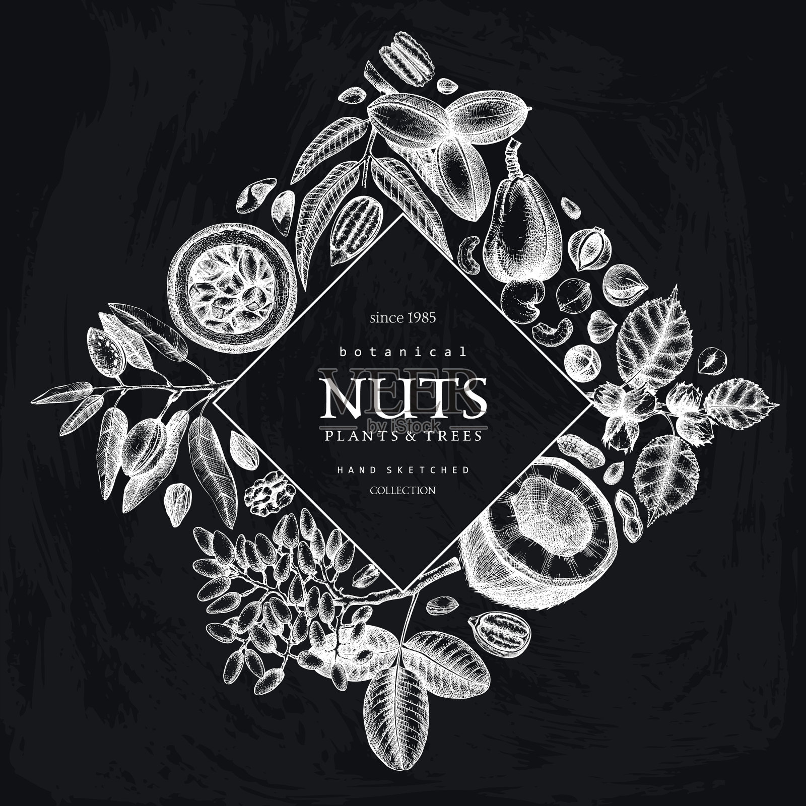 手绘螺母环设计插画图片素材