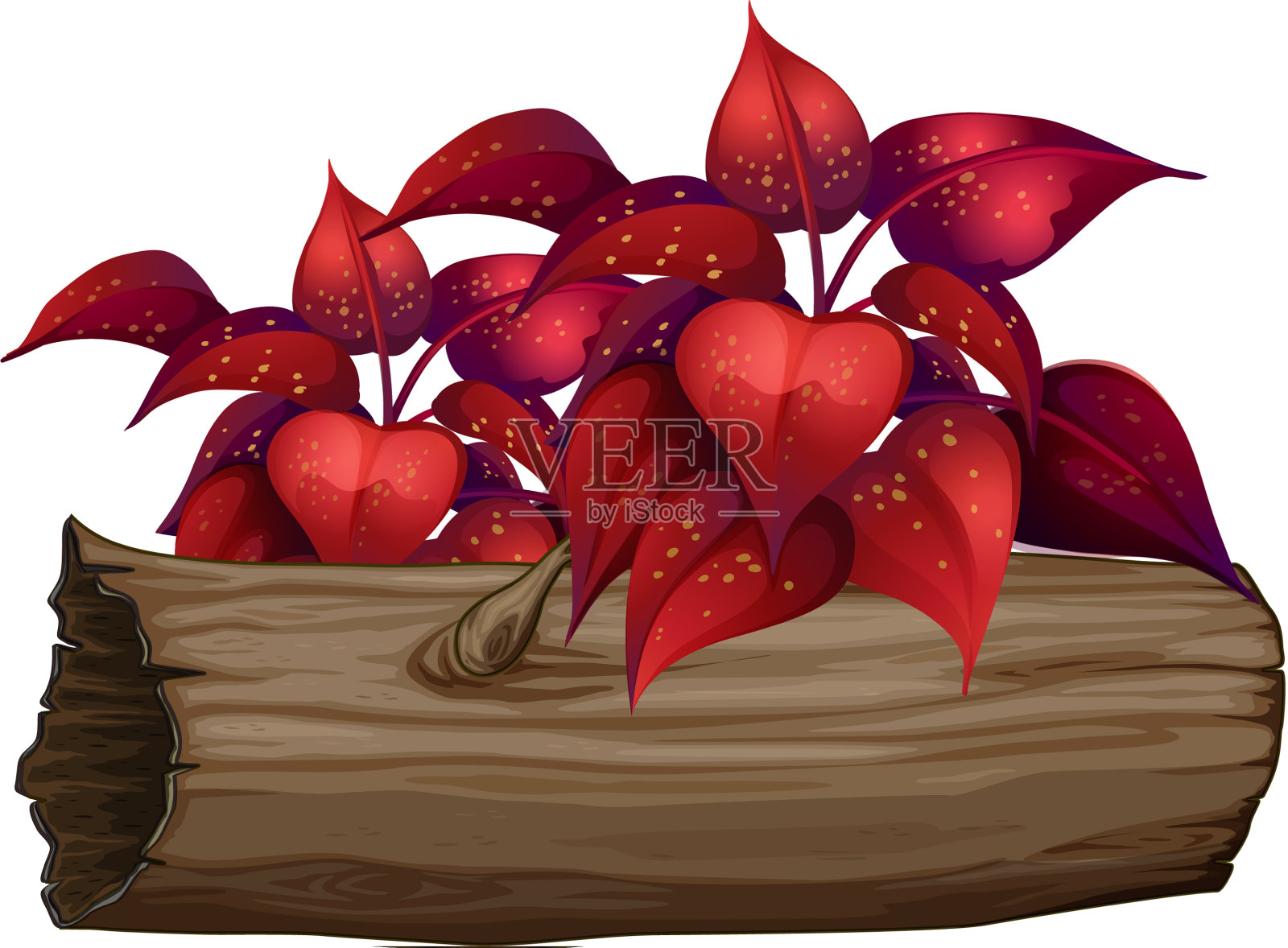 白色背景上的红叶设计元素图片