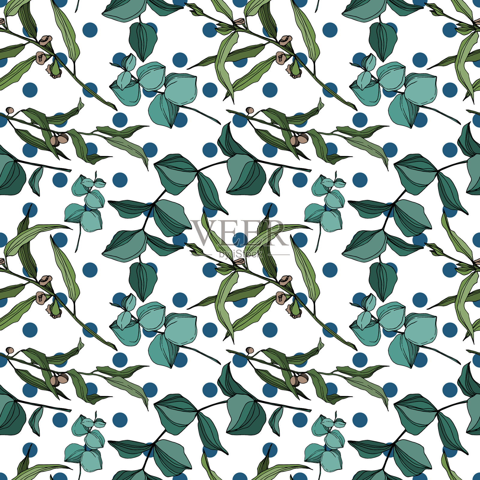 桉树叶子丛林植物插画图片素材