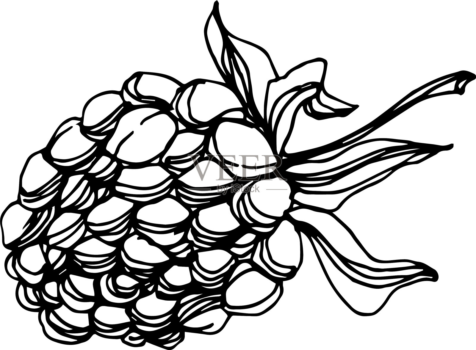 黑莓健康食品黑色和白色插画图片素材