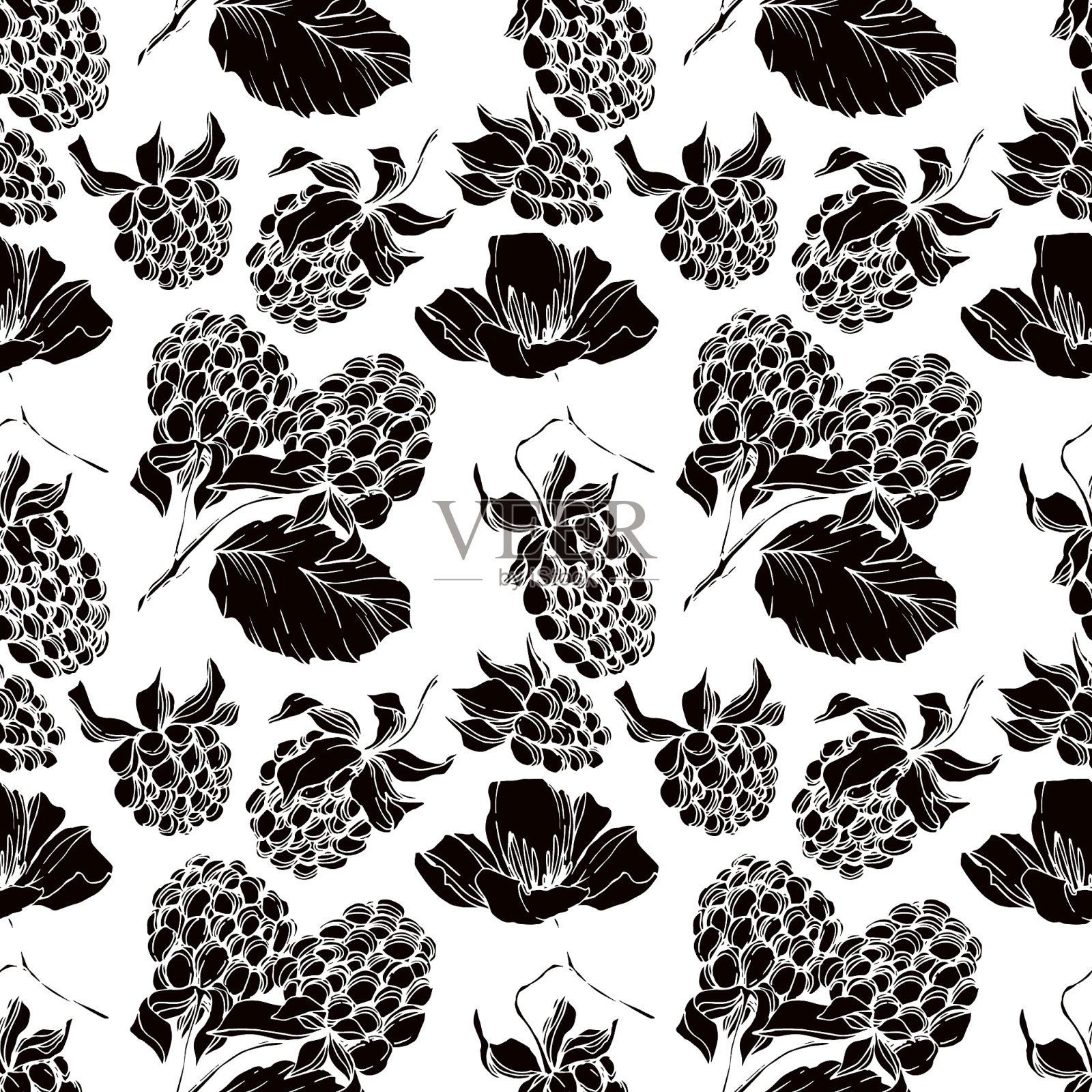 黑莓健康食品黑色和白色插画图片素材