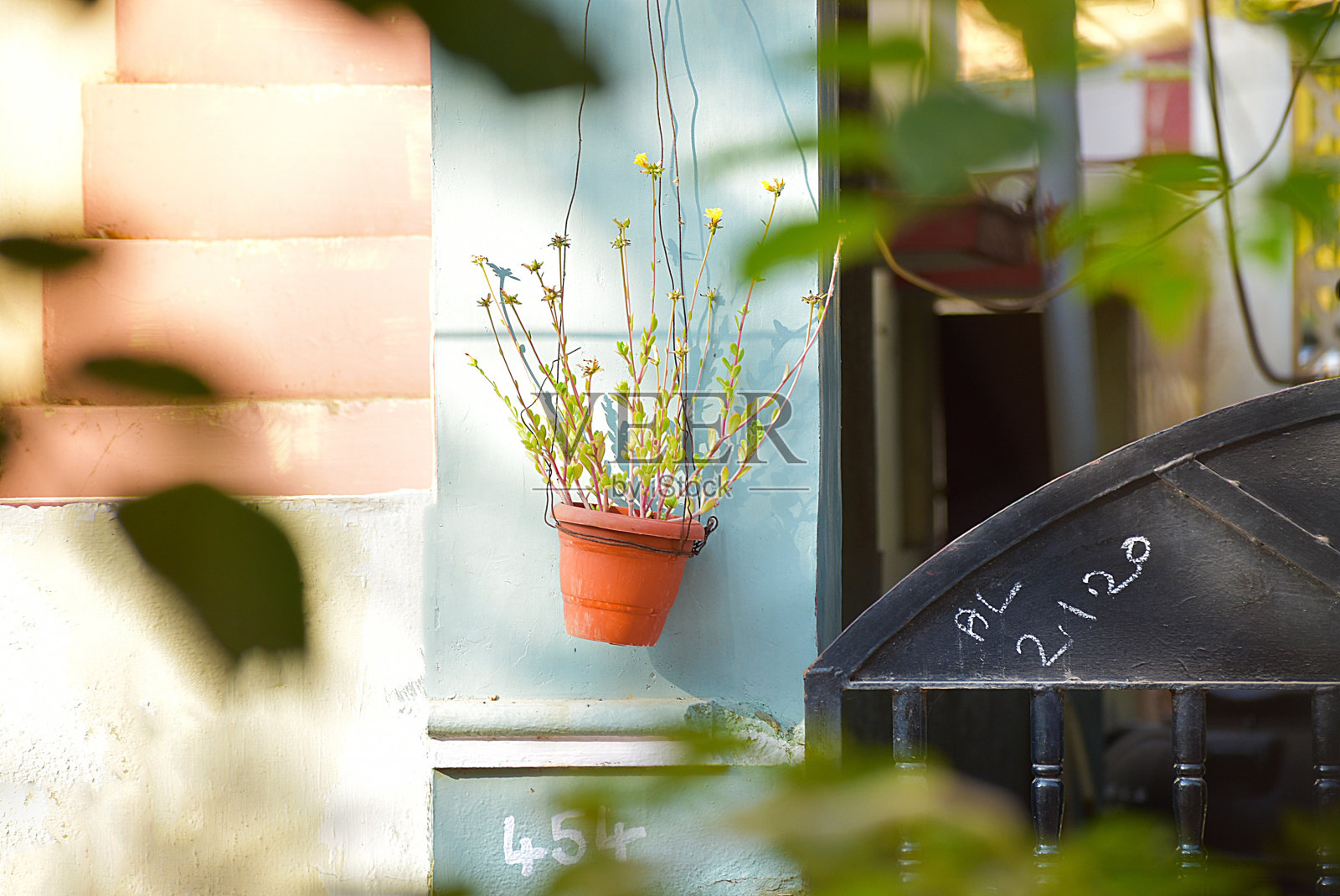 模糊的散景背景中的彩色花朵的图像照片摄影图片