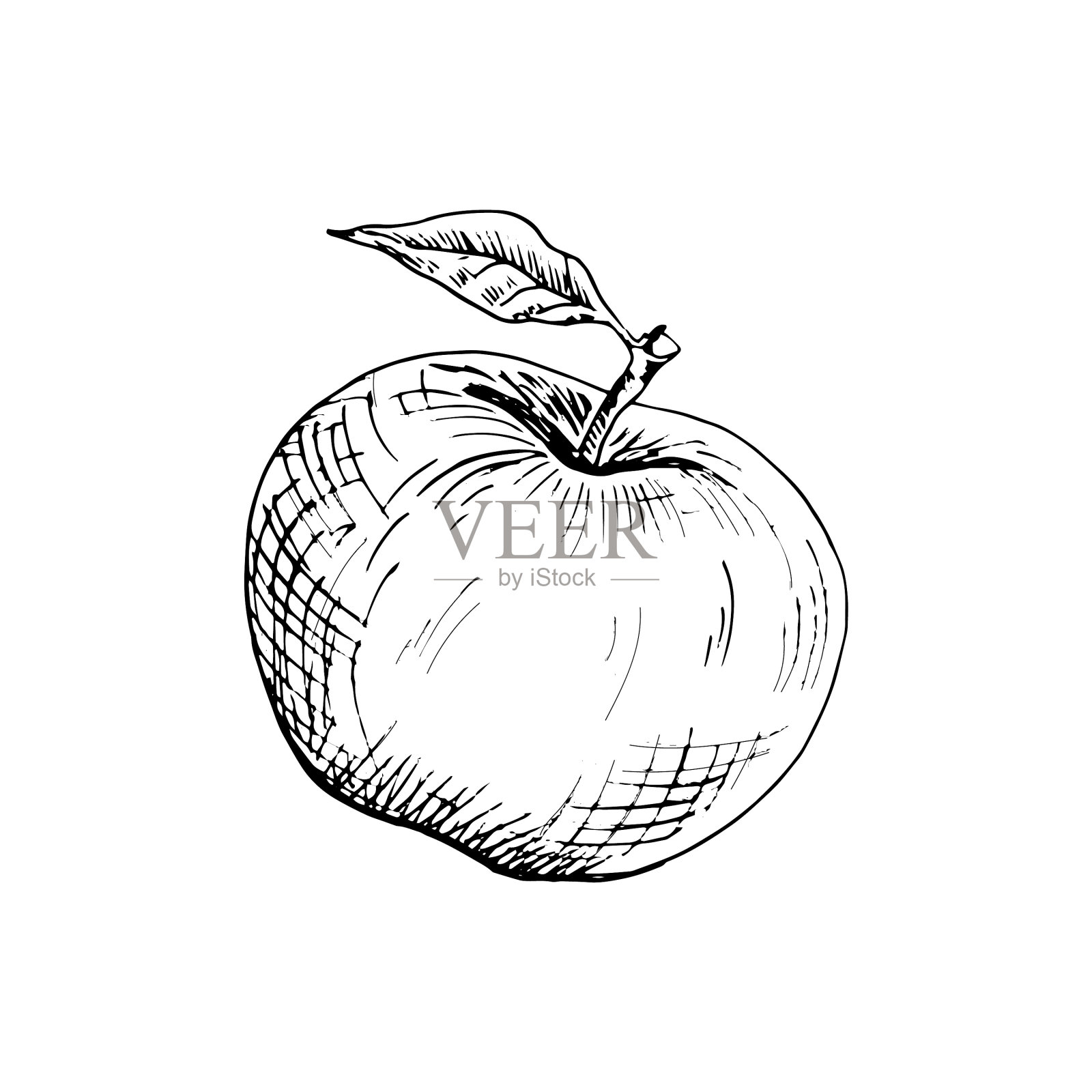 苹果素描手绘苹果插画图片素材