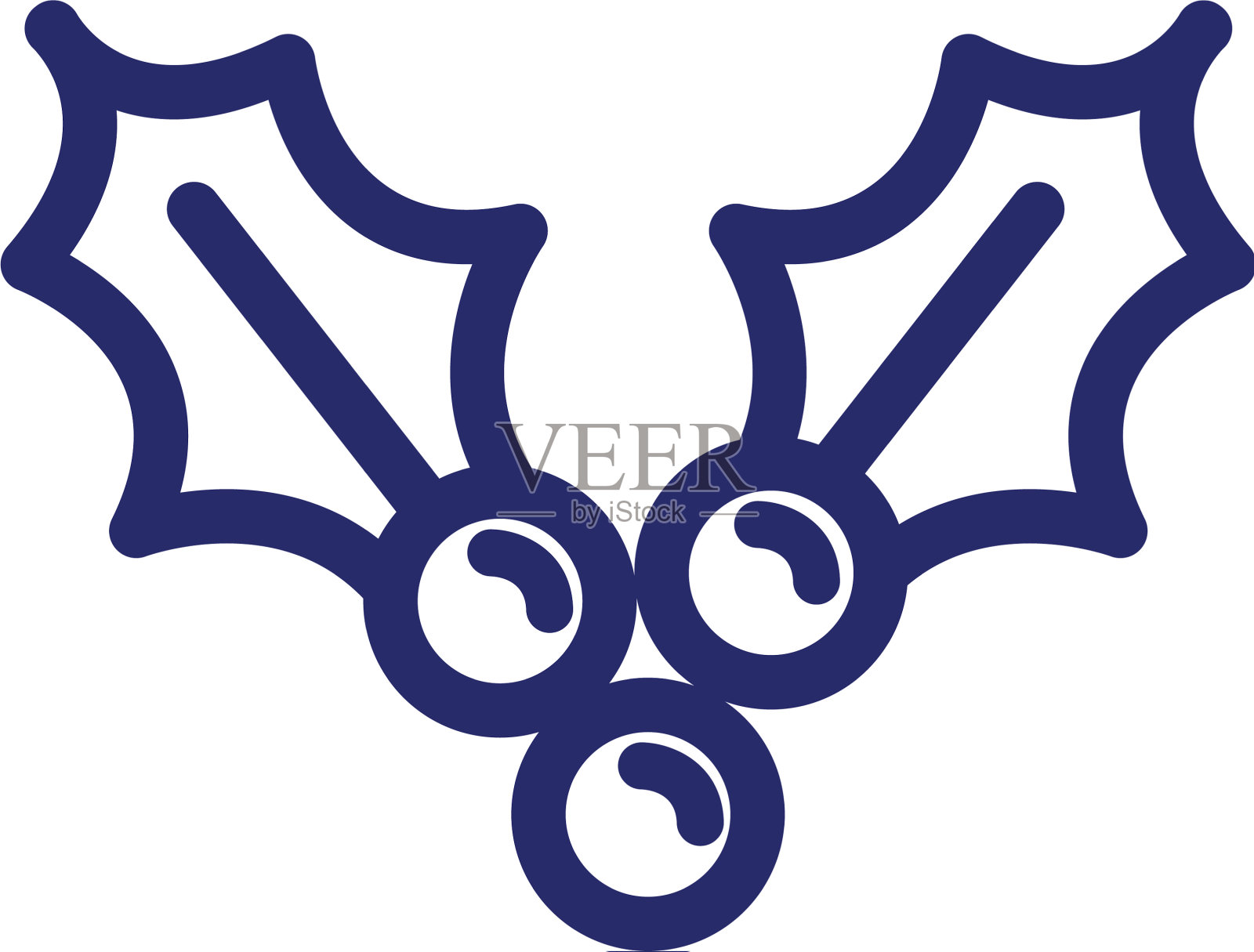 圣诞快乐，树叶和种子设计元素图片