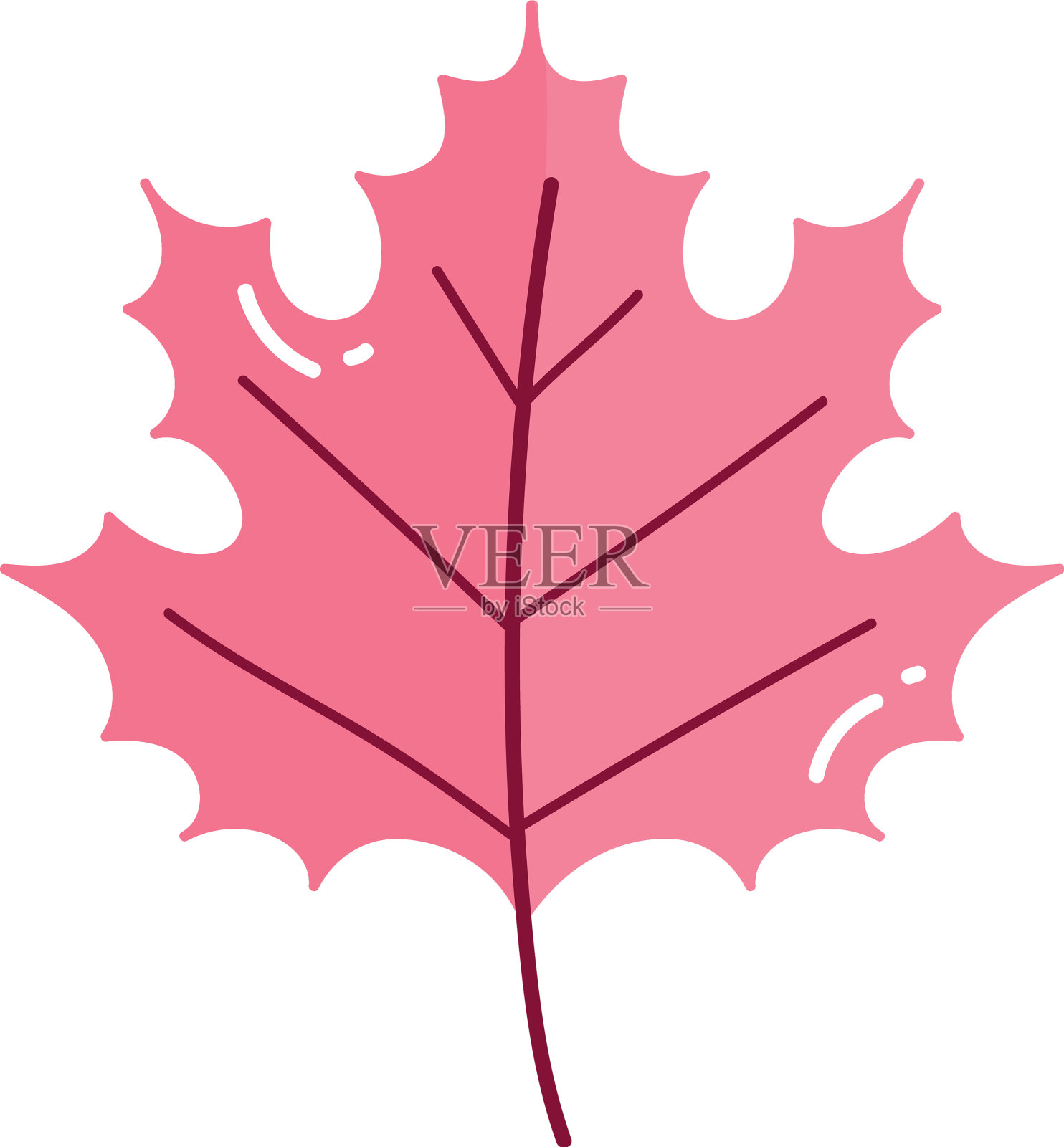 白色背景上的叶叶自然设计元素图片