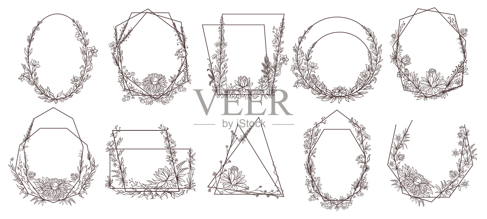 手绘花卉几何框架花叶子插画图片素材