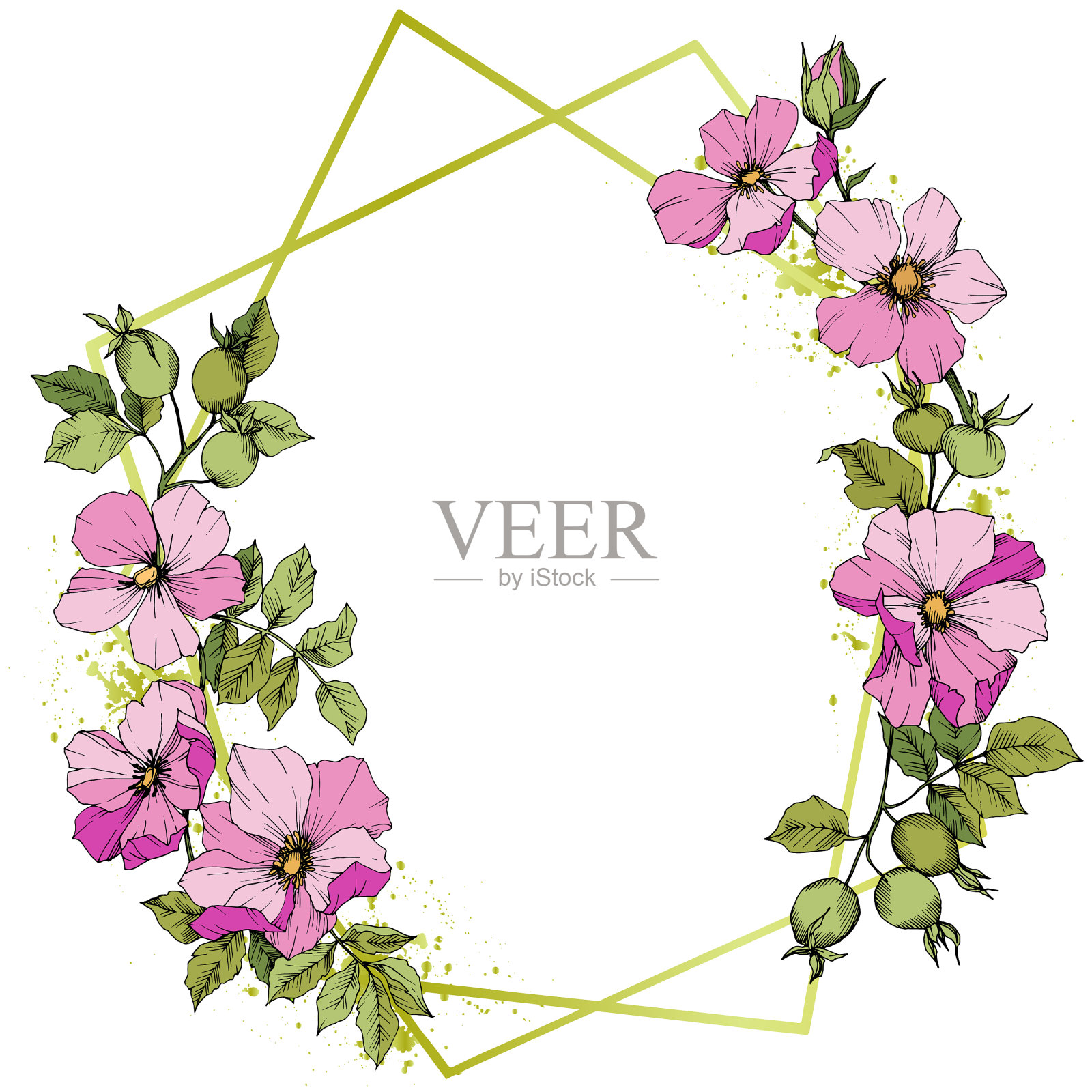 野花蔷薇犬科在一个风格孤立插画图片素材