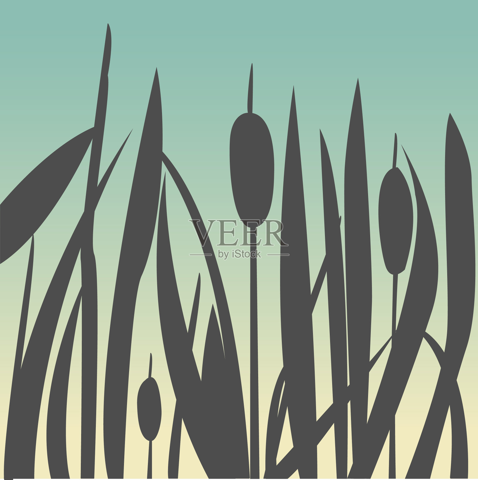 布什轮廓里德插画图片素材