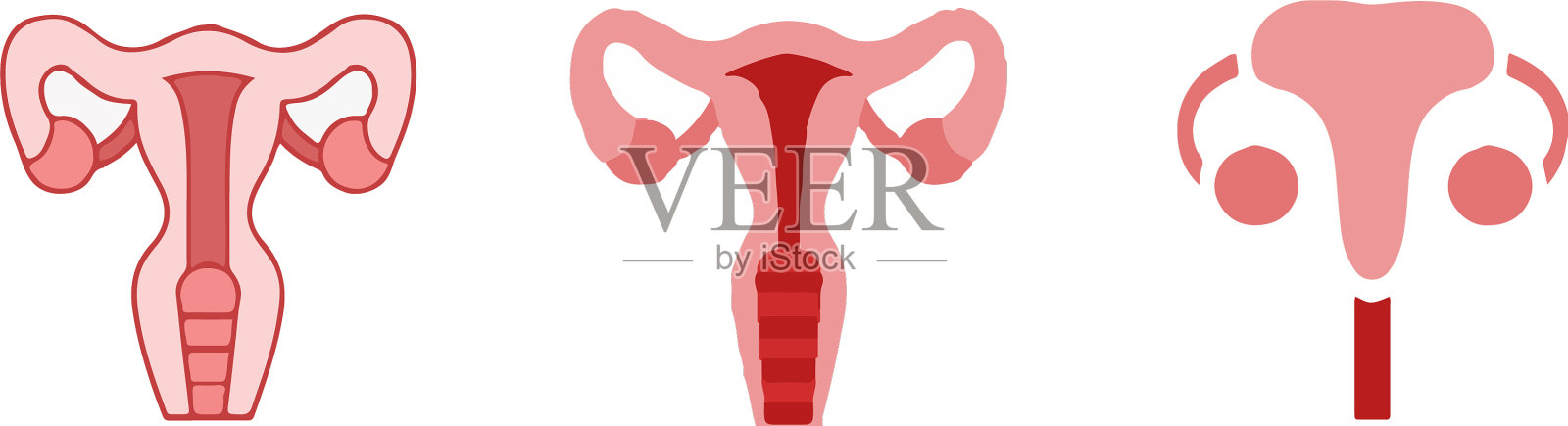 子宫图标孤立在白色背景上插画图片素材