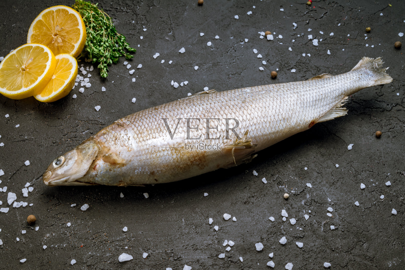 鱼白鱼冻结照片摄影图片