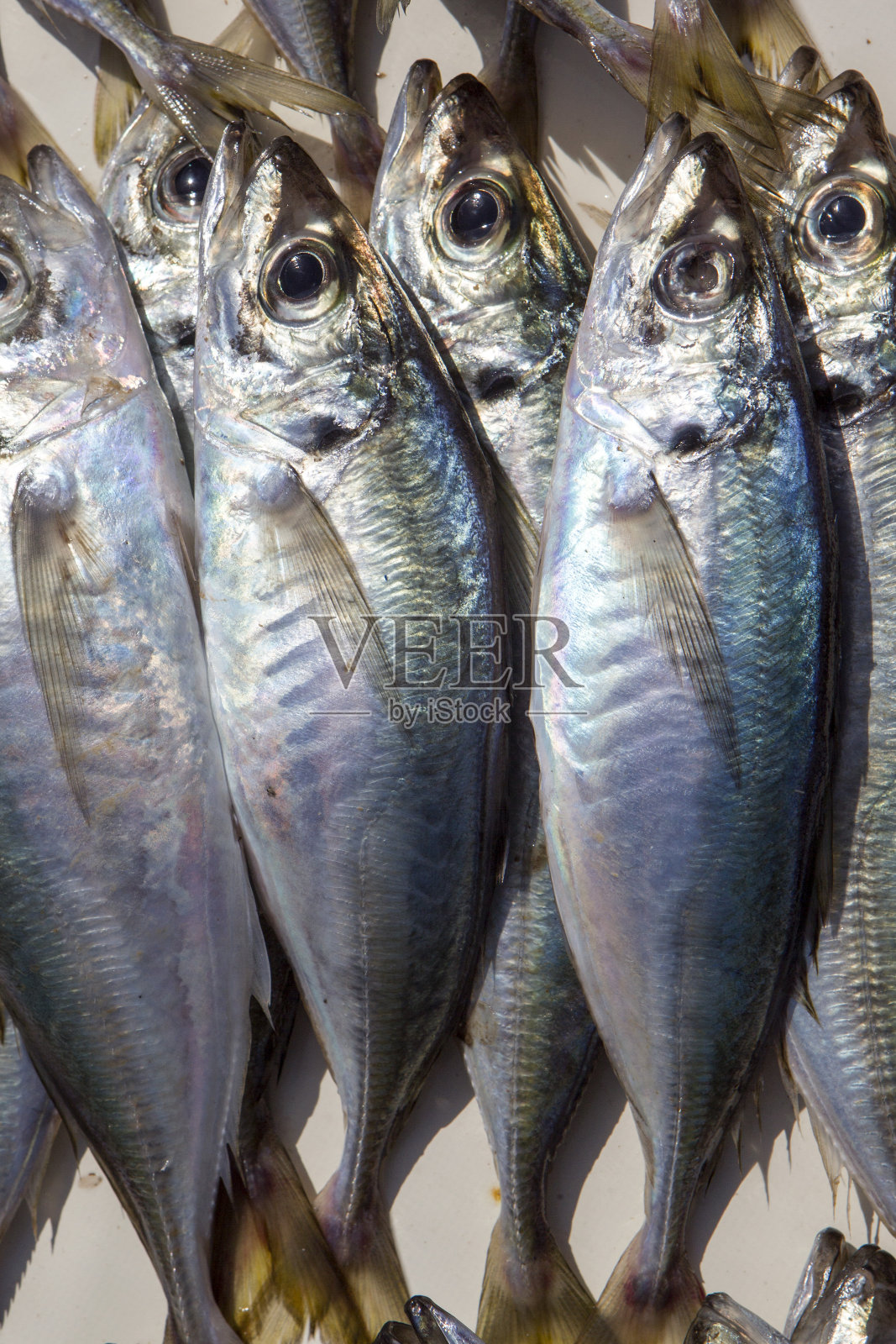 摩洛哥,Essaouira照片摄影图片