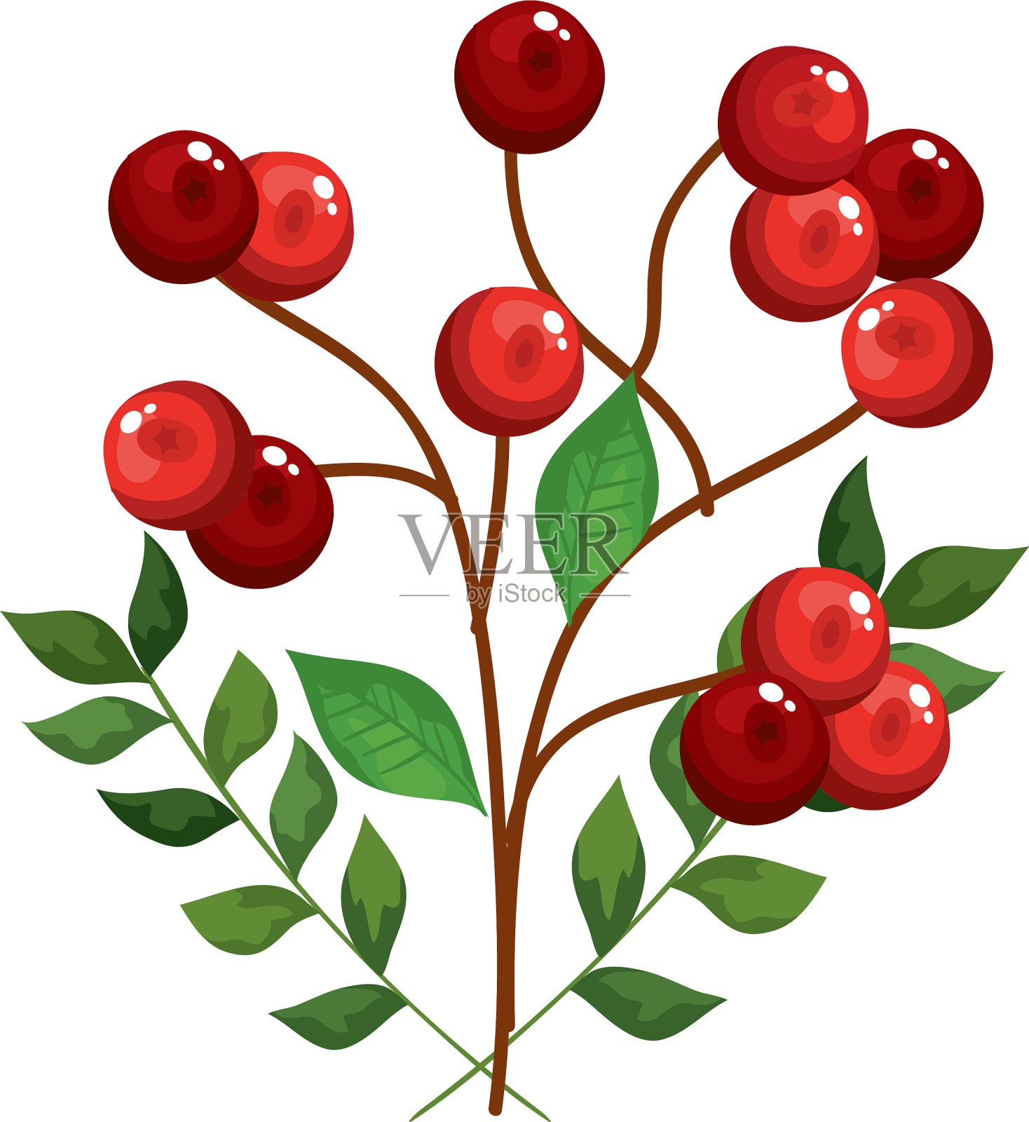 树叶和树枝用种子装饰圣诞节设计元素图片