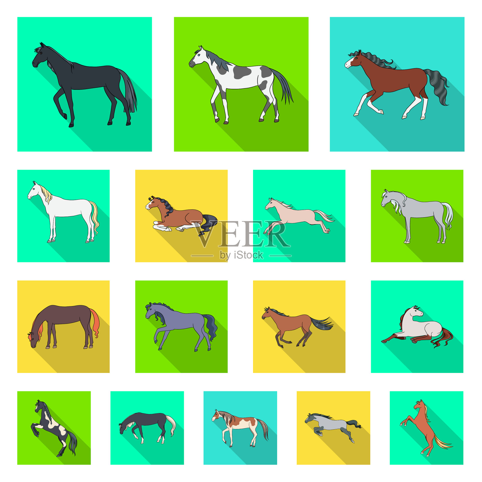 孤立对象品种和马术标志组插画图片素材