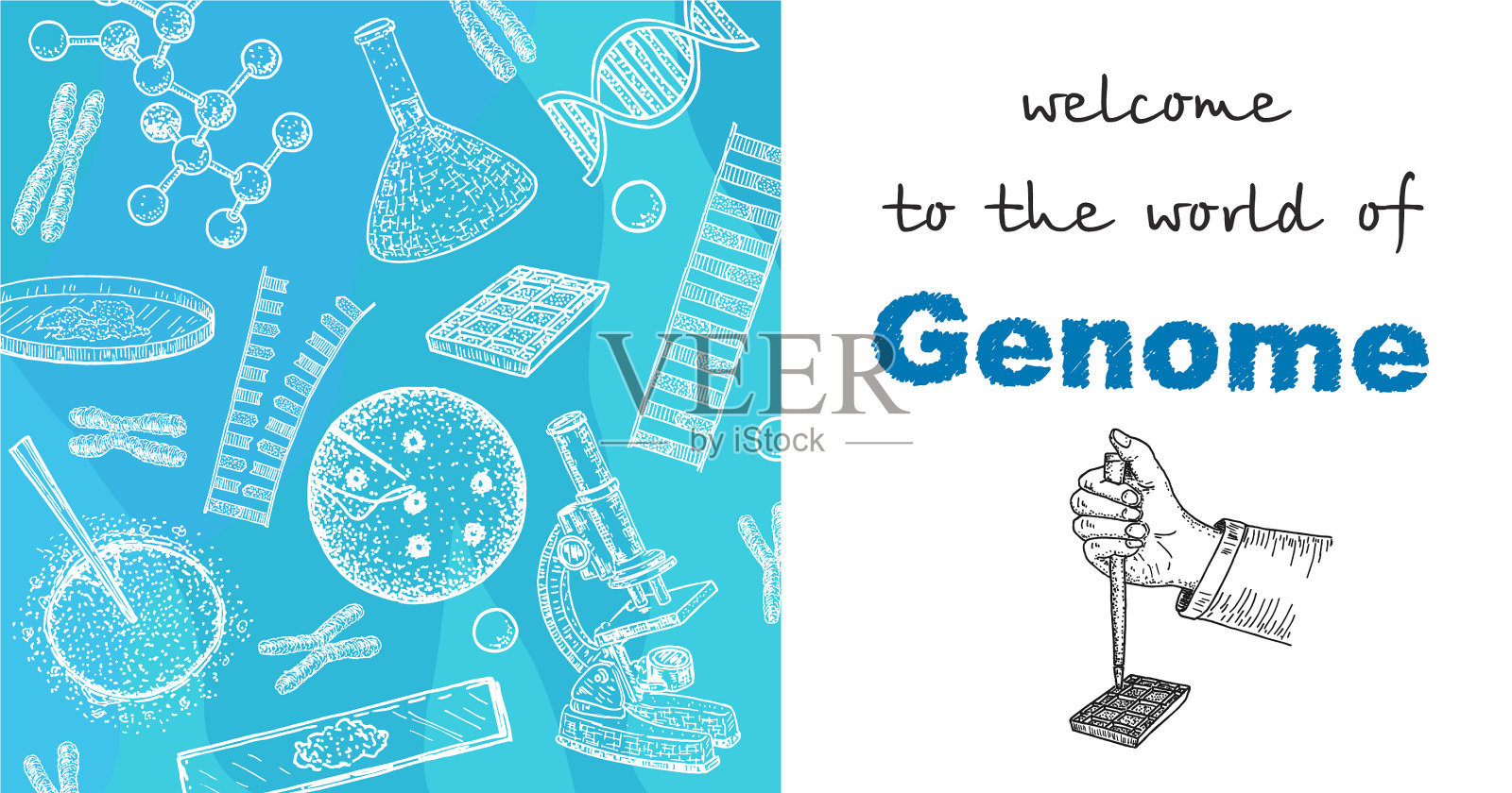 人类基因组计划健康和生物化学插画图片素材