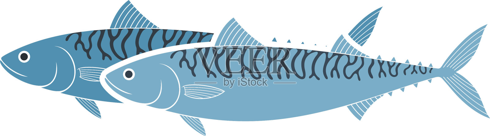 鲭鱼设计元素图片