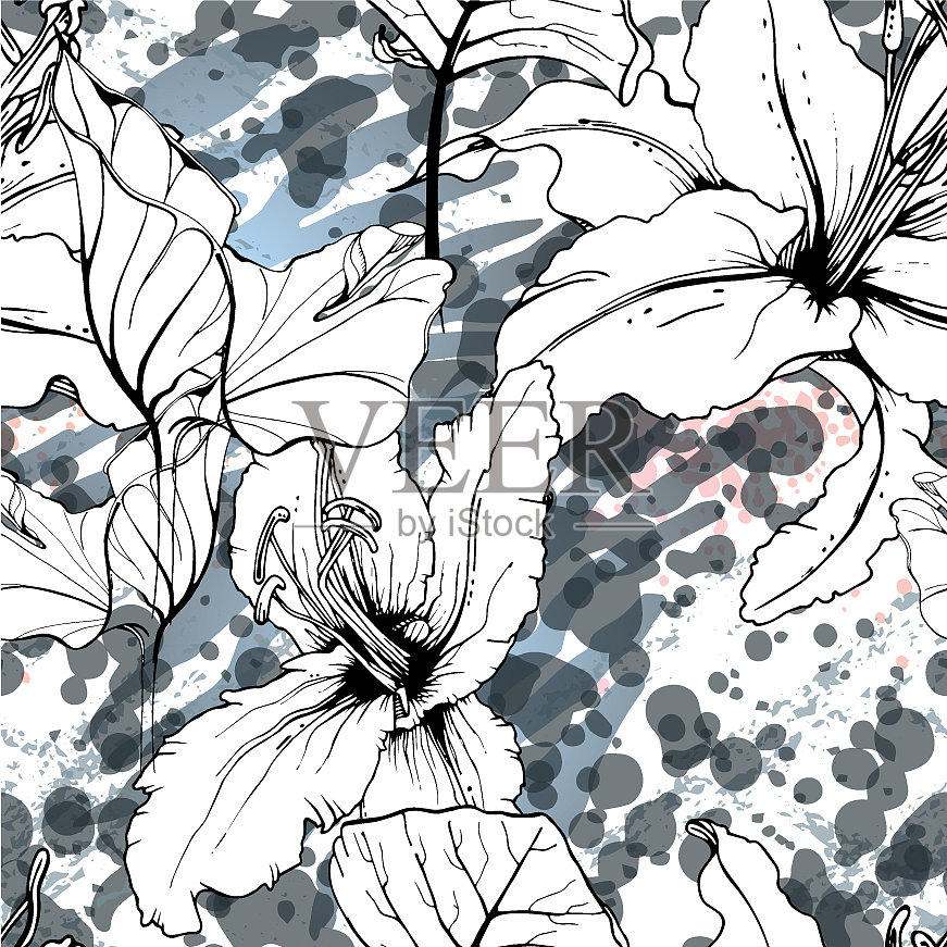 艺术热带现代黑白图形插画图片素材