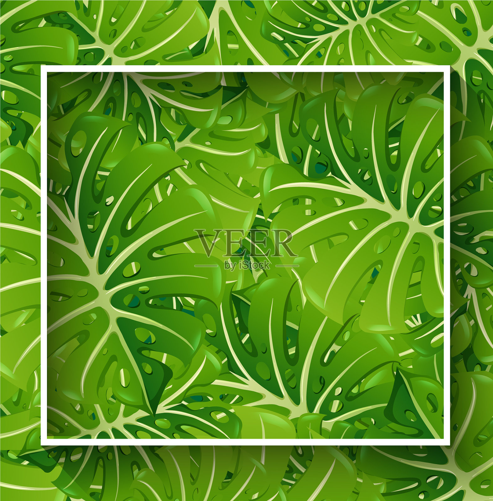 边界模板与绿色的叶子插画图片素材