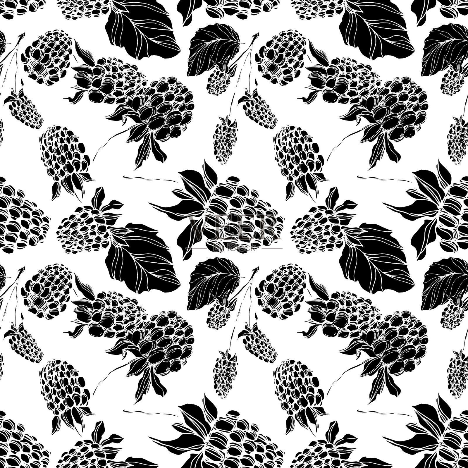 黑莓健康食品黑色和白色插画图片素材