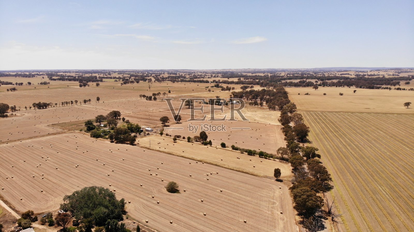 丹麦附近围场的许多干草捆照片摄影图片