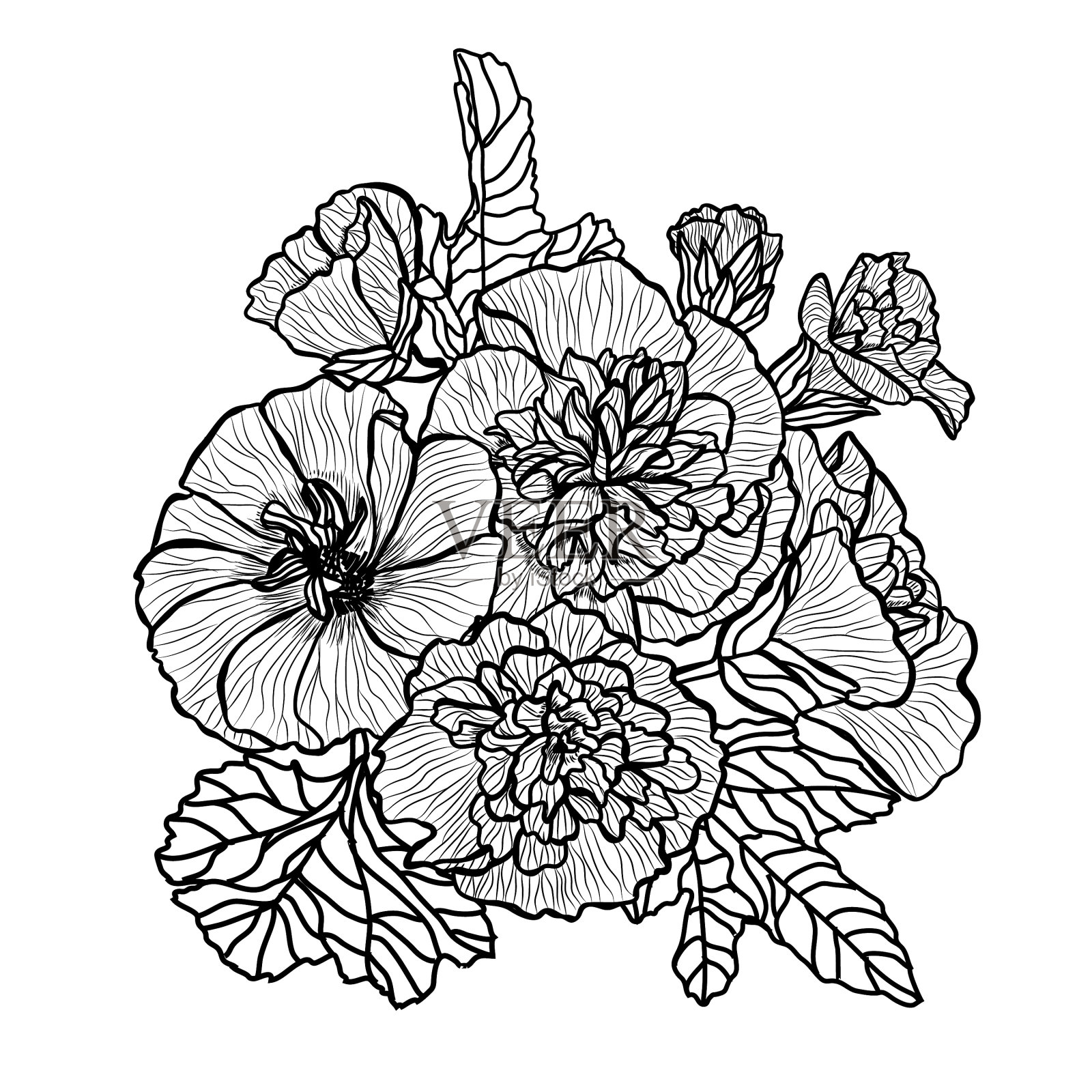 手绘花卉装饰设计元素图片