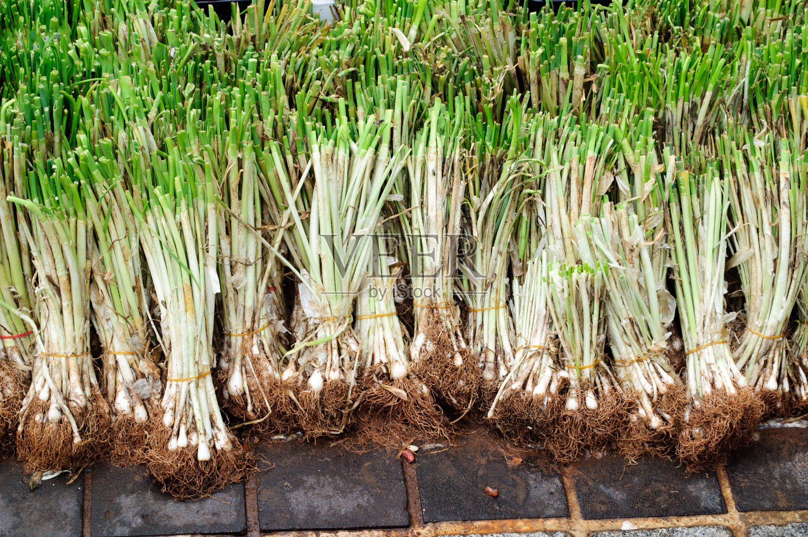街头市场上的威尔士洋葱苗。照片摄影图片