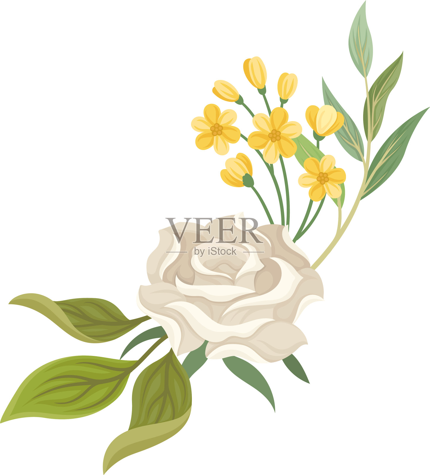 夏日盛开的白玫瑰图案插画图片素材