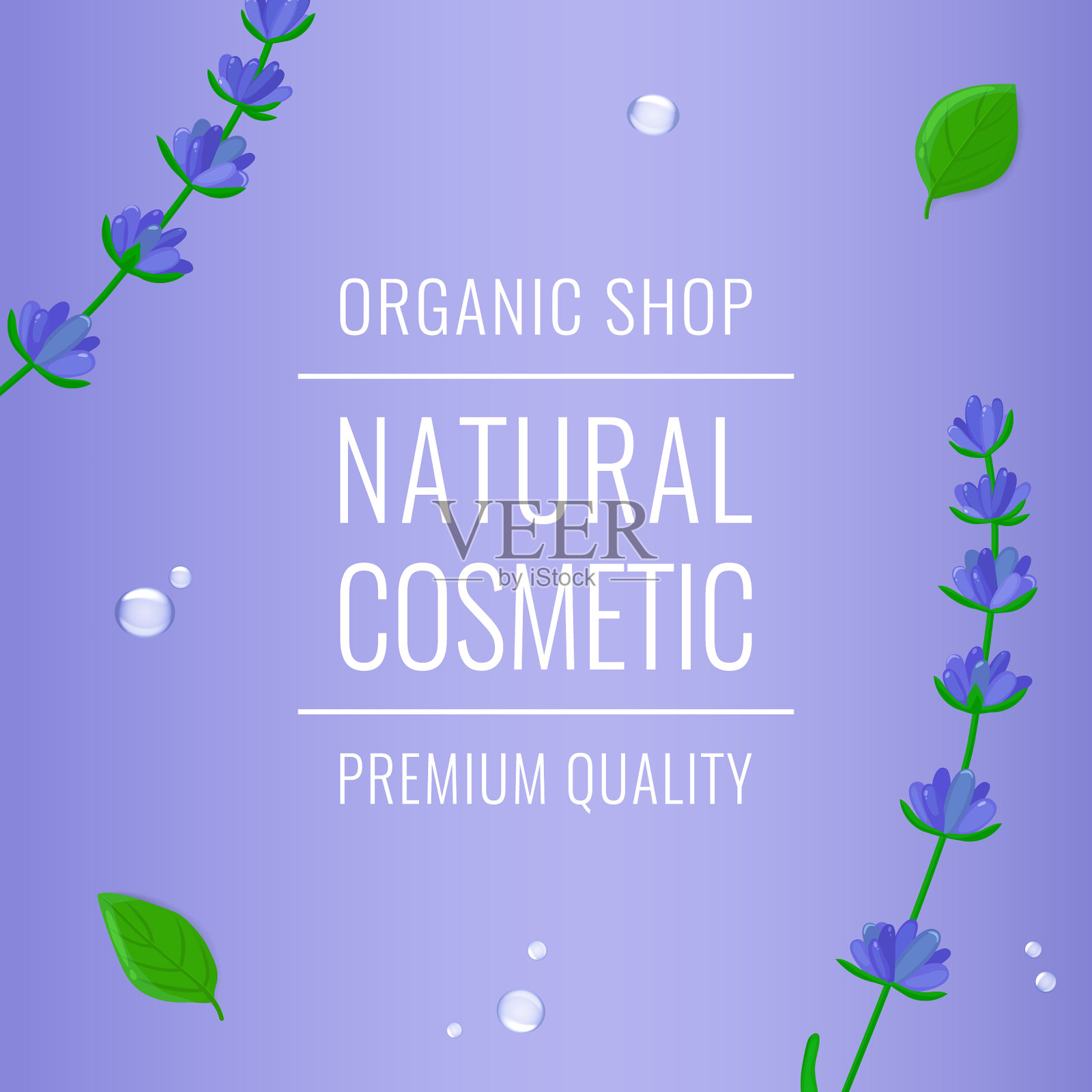 美丽的布局与树叶泡沫和薰衣草设计模板素材