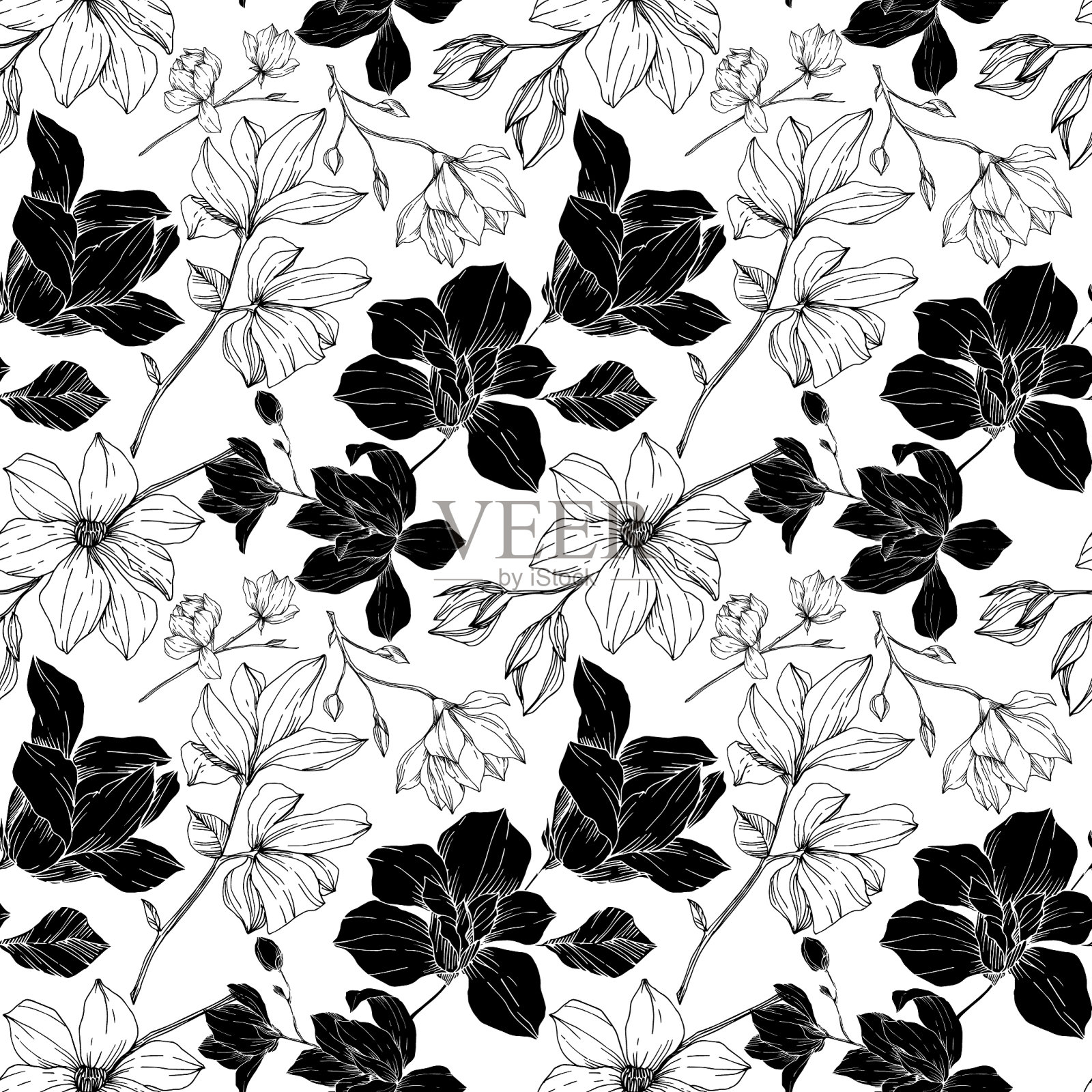 木兰的植物花黑色插画图片素材