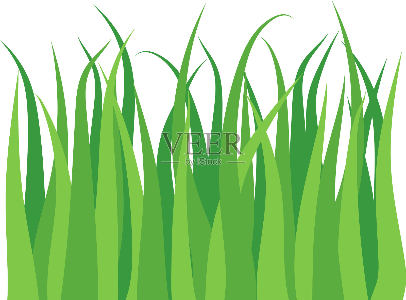 绿色草坪草纹理插画图片素材