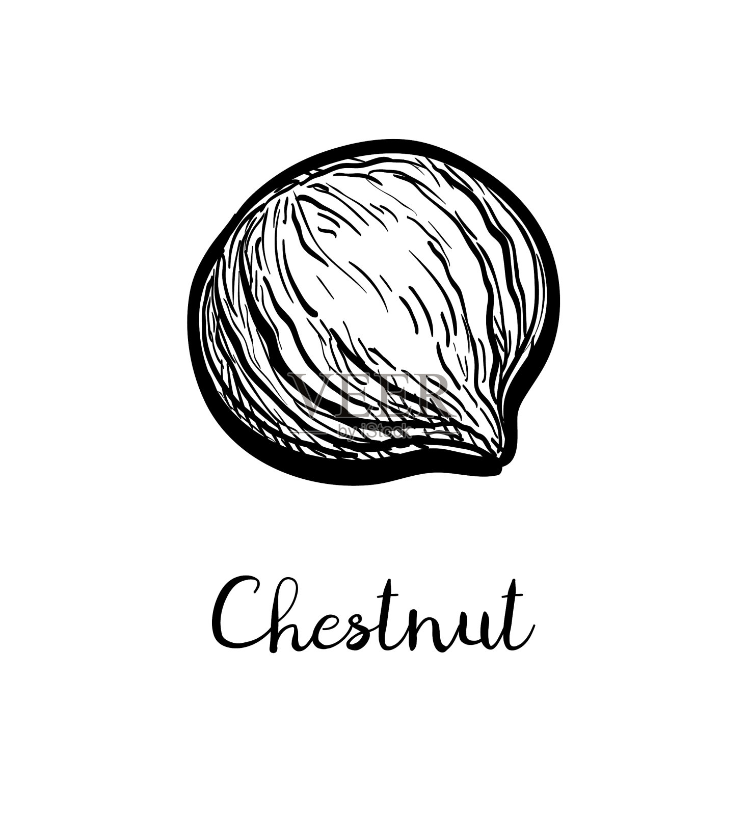 墨水素描栗设计元素图片