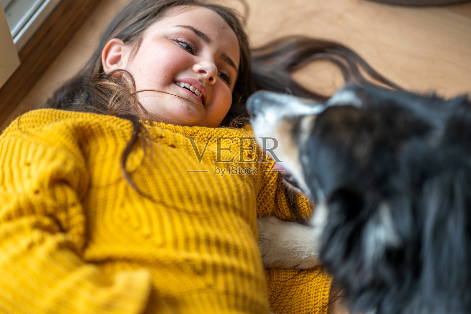 11岁的女孩在室内拥抱狗照片摄影图片