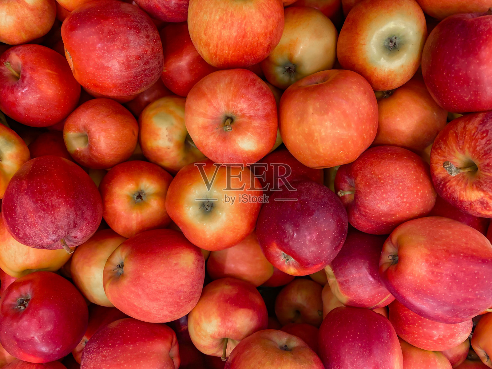 鲜红成熟的苹果背景从树上摘下来照片摄影图片